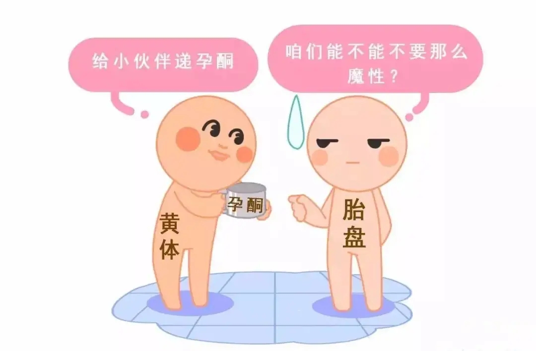HCG和孕酮低一定會流產(chǎn)？備孕女性必須知道的孕早期“秘密”