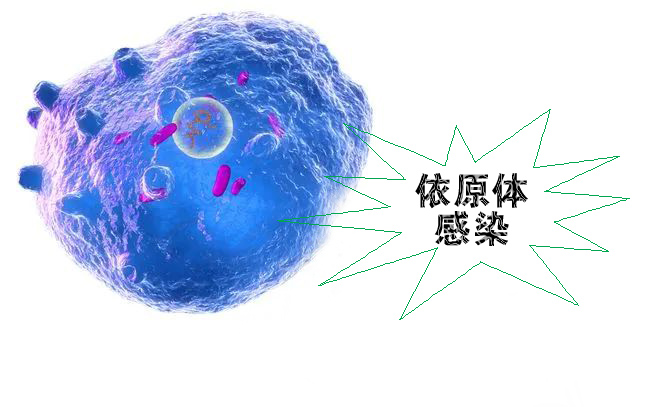 怎么不知不覺就感染了沙眼依原體呢？